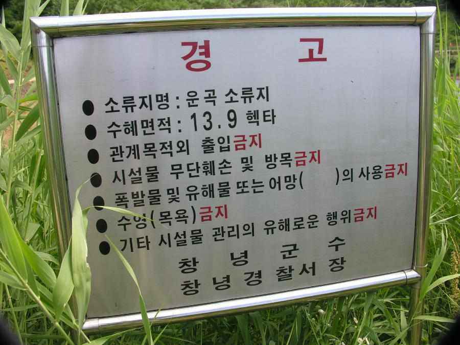 Dscn1480-80.JPG