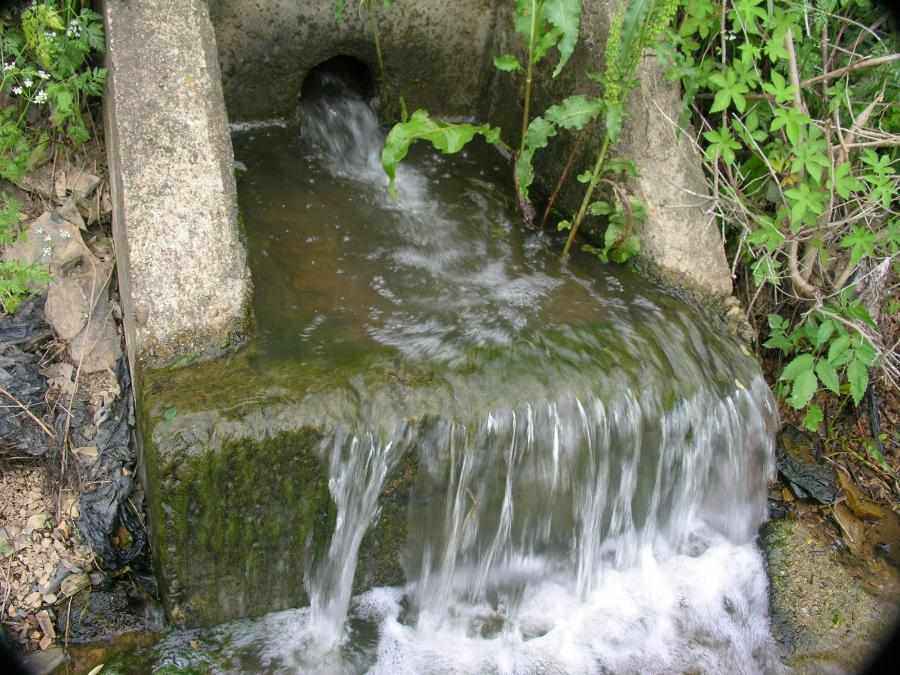 Dscn1520-80.JPG