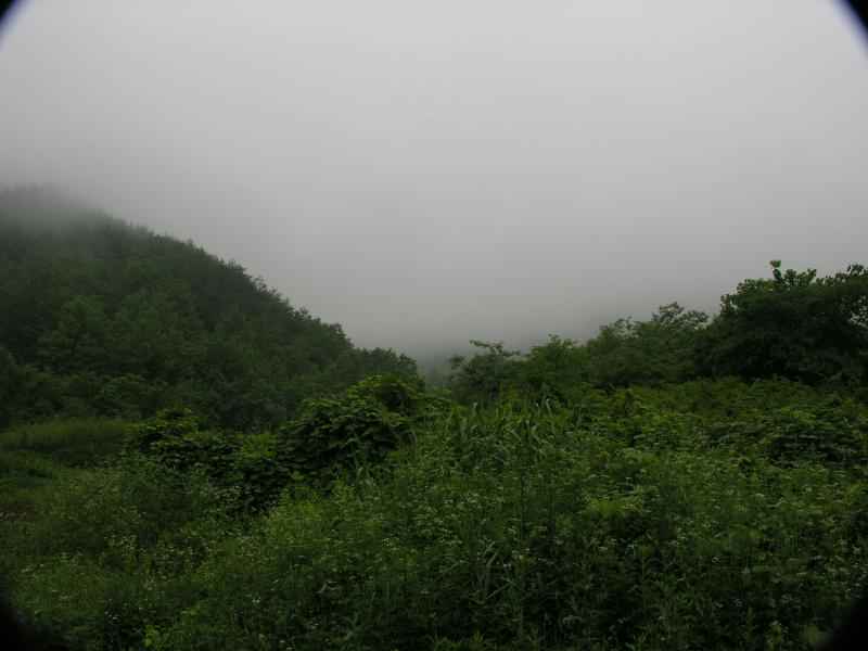 DSCN1701-81.JPG