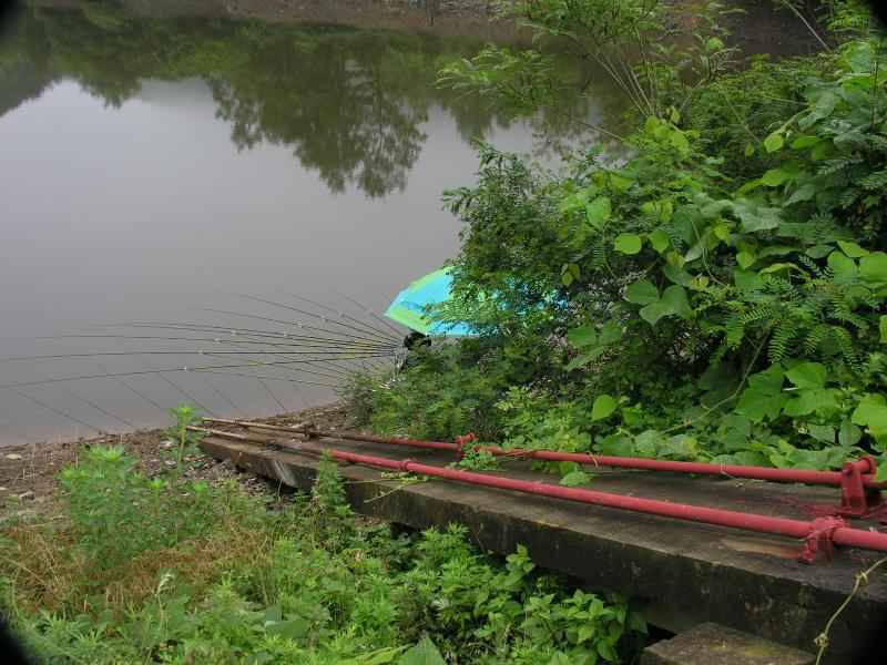 DSCN1821-81.JPG