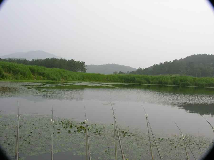 DSCN1964-82.JPG