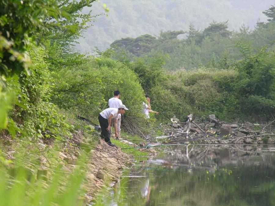DSCN2162-82.JPG