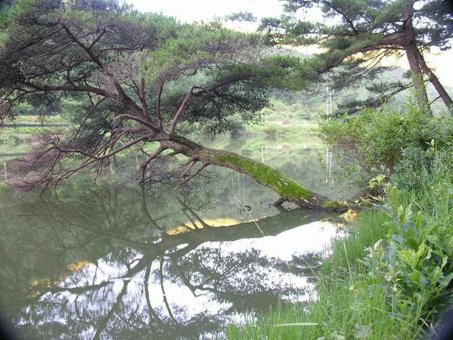 Dscn2246-88.JPG