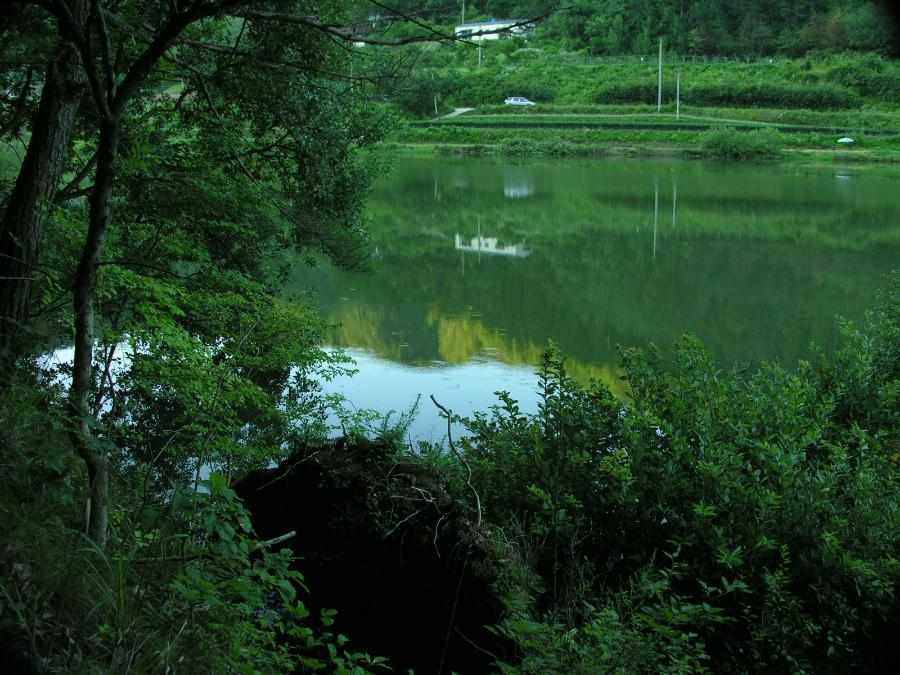 Dscn2255-88.JPG
