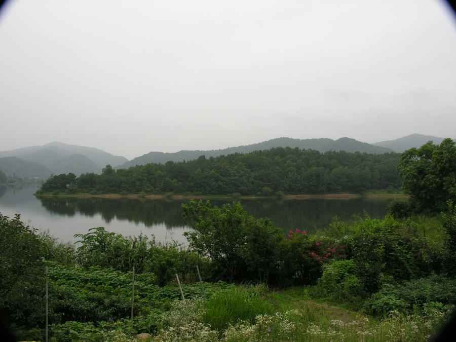 DSCN2444-89.JPG