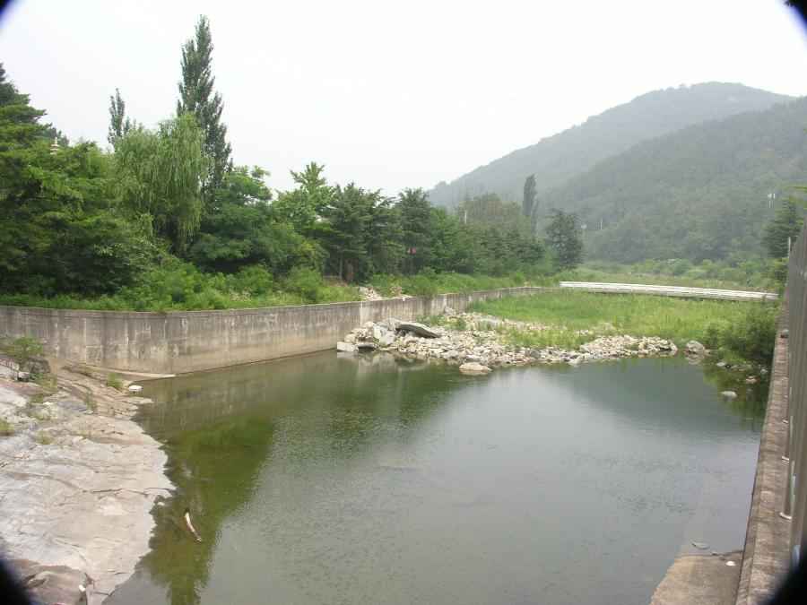 DSCN2770-90.JPG