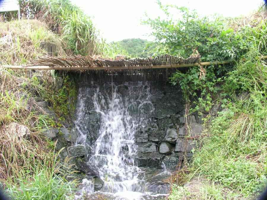 DSCN3222-92.JPG