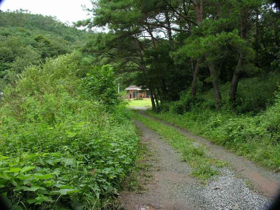 DSCN3237-92.JPG