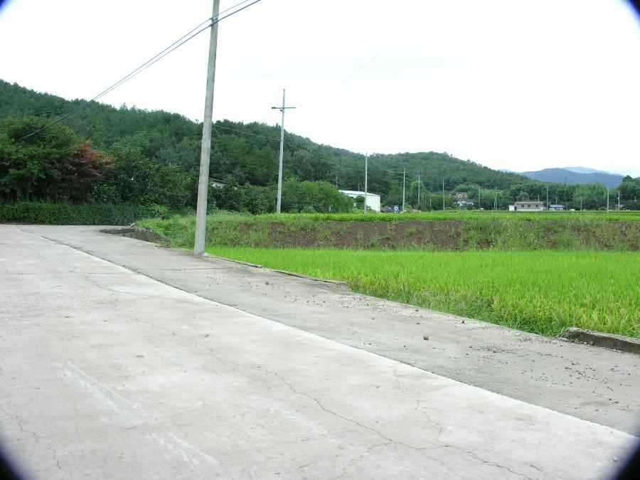 DSCN3278-92.JPG