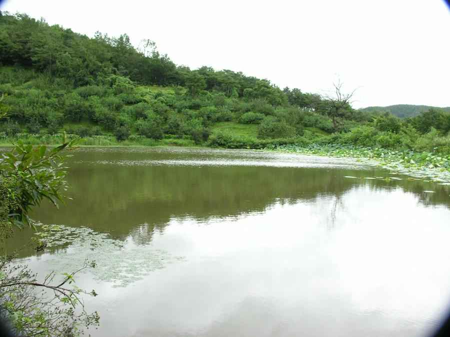 DSCN3282-92.JPG