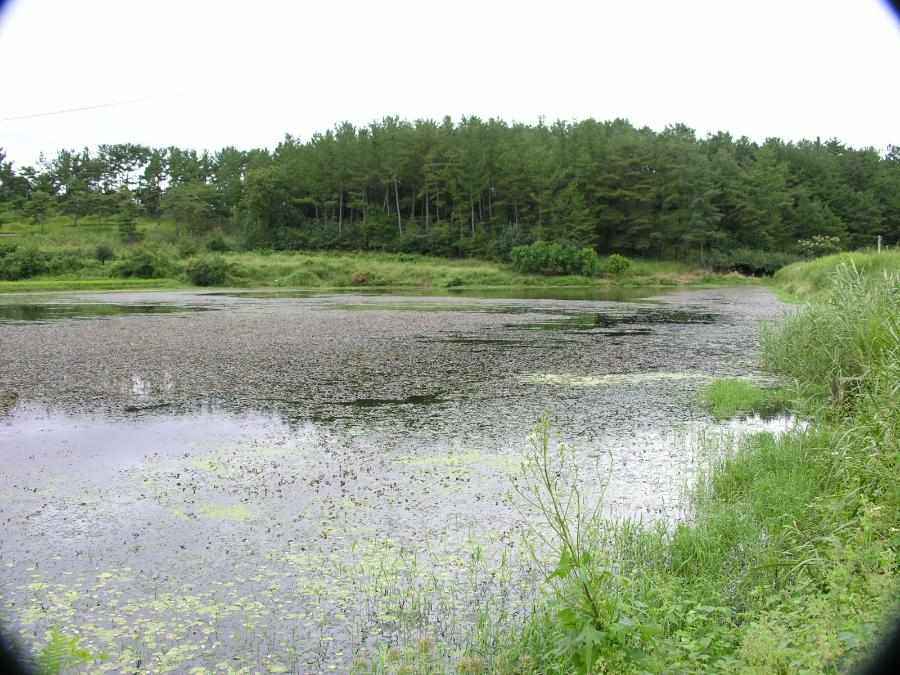 DSCN3284-92.JPG