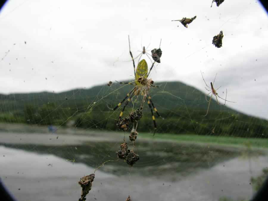 Dscn9377-93.JPG