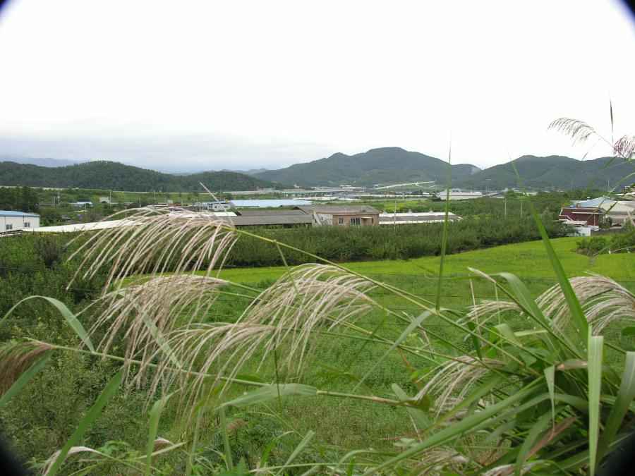Dscn9387-93.JPG