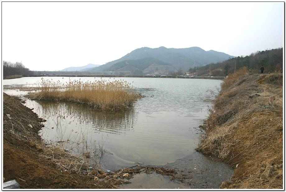 20060318_022.jpg