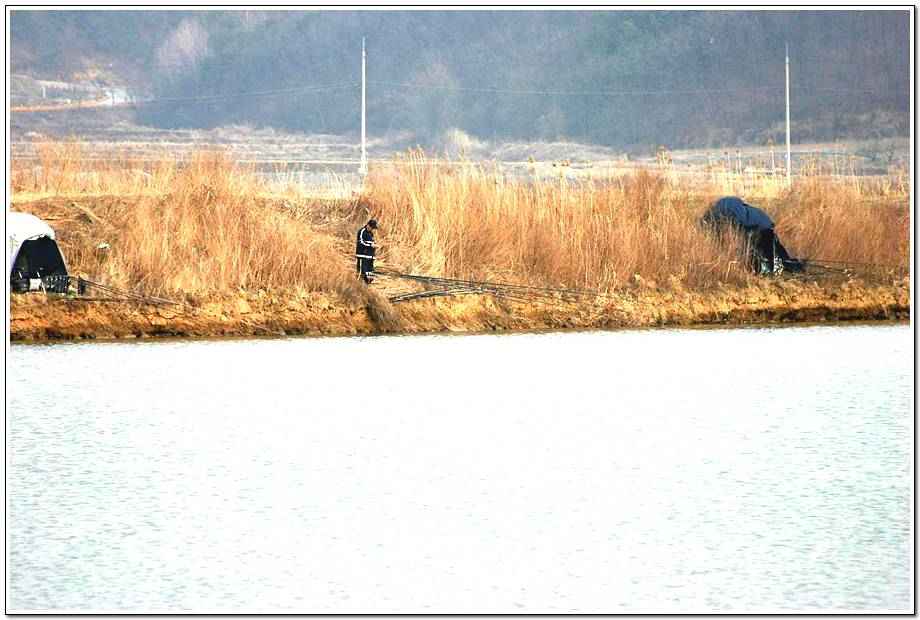 20060318_049.jpg