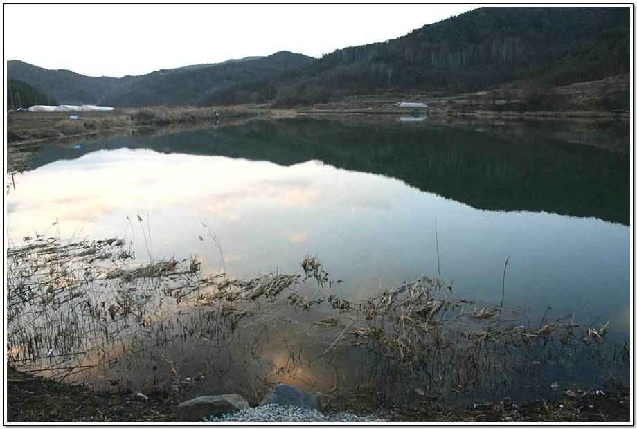 20060318_075.jpg