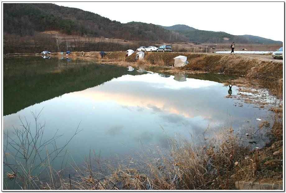 20060318_076.jpg