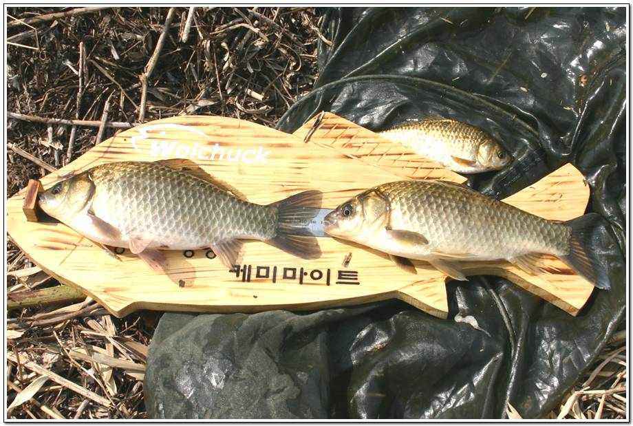 20060325_38.jpg