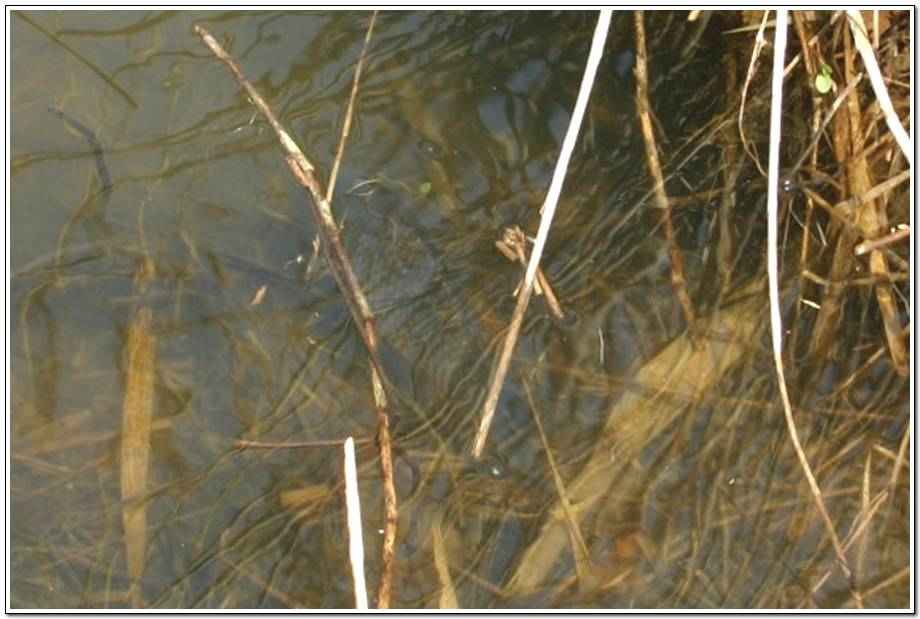 20060325_41.jpg