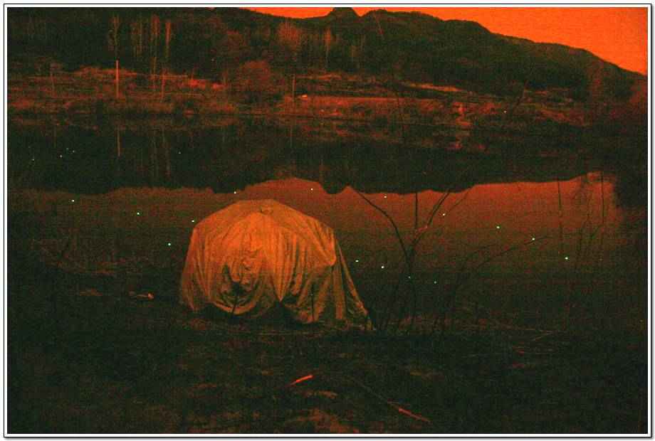 20060325_70.jpg