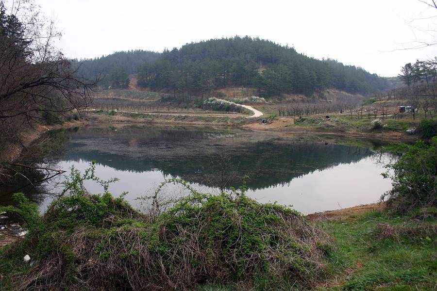 20060430_01.jpg