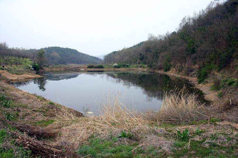 20060430_02.jpg