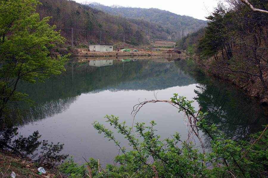 20060430_03.jpg