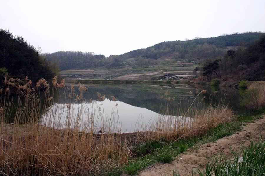 20060430_05.jpg