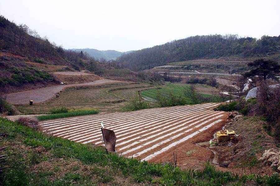 20060430_06.jpg