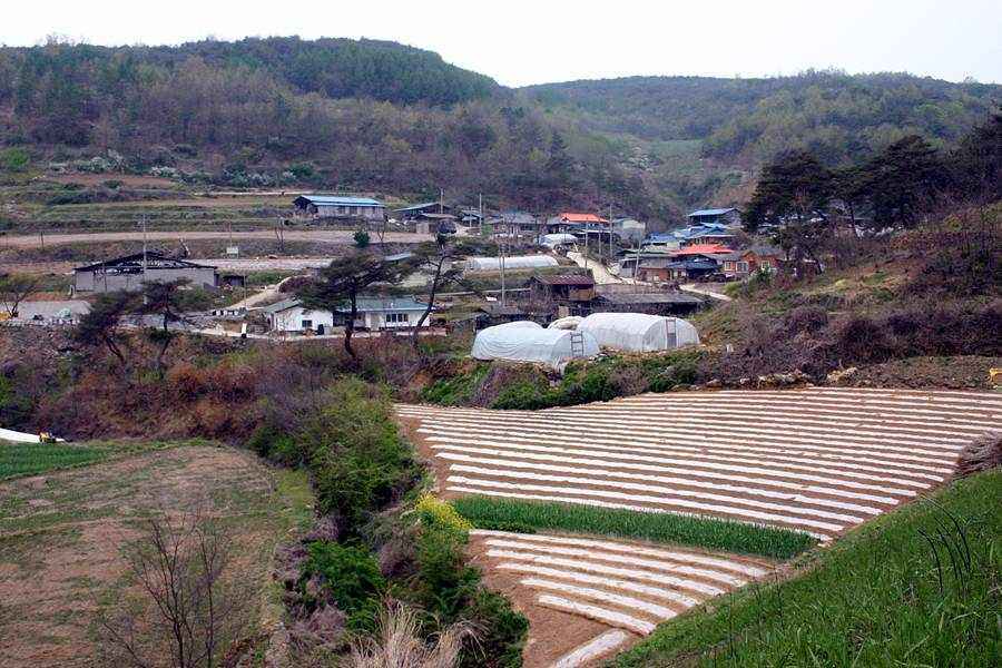20060430_07.jpg