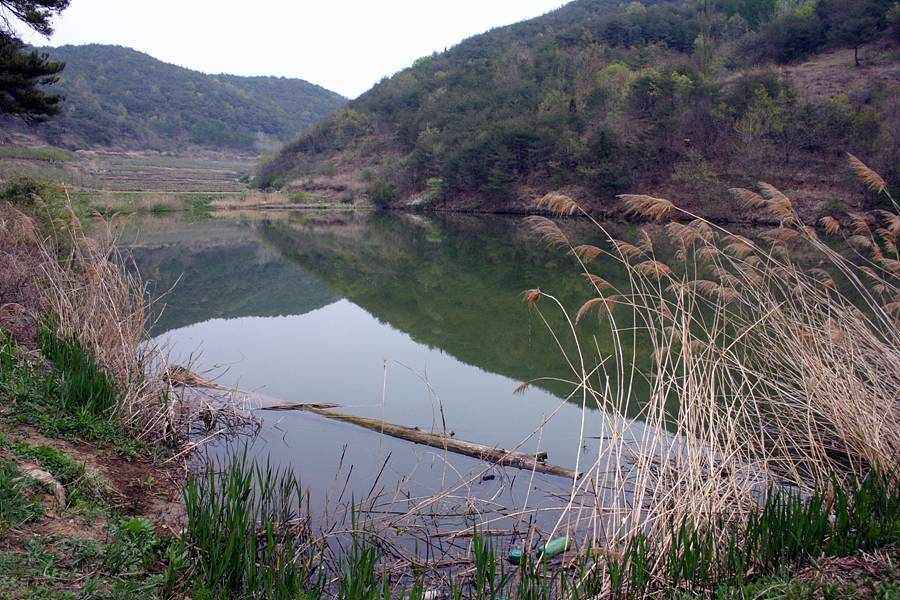 20060430_08.jpg