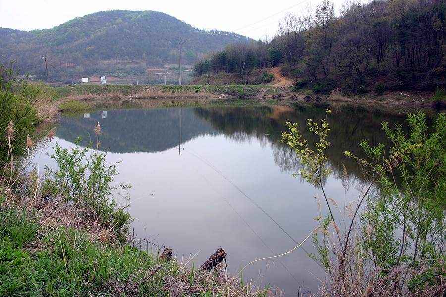 20060430_13.jpg