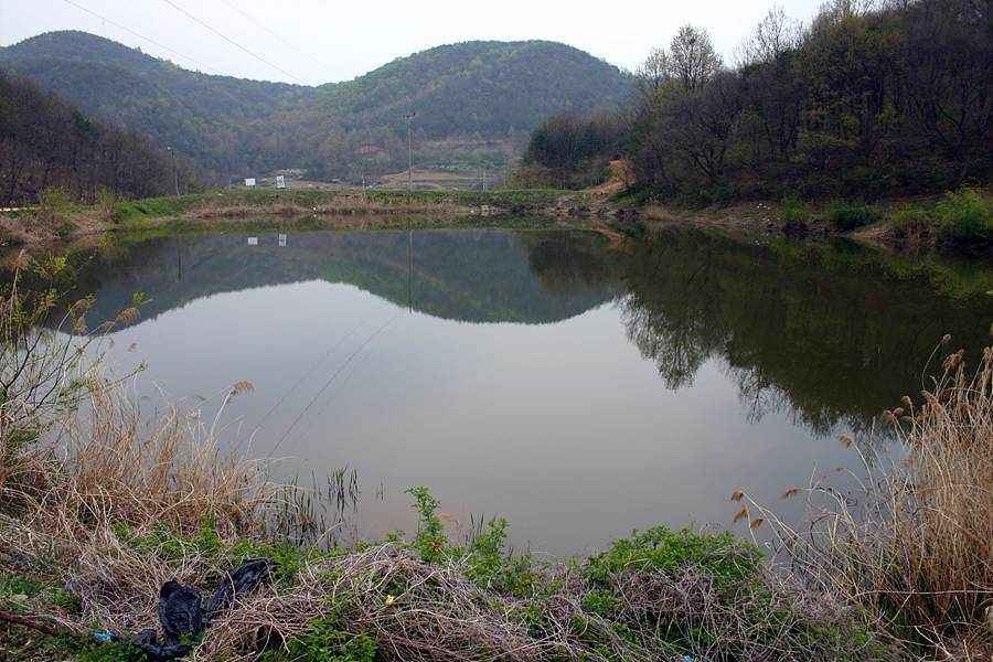 20060430_15.jpg