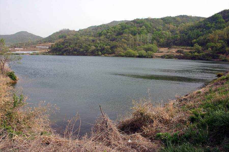 20060430_16.jpg