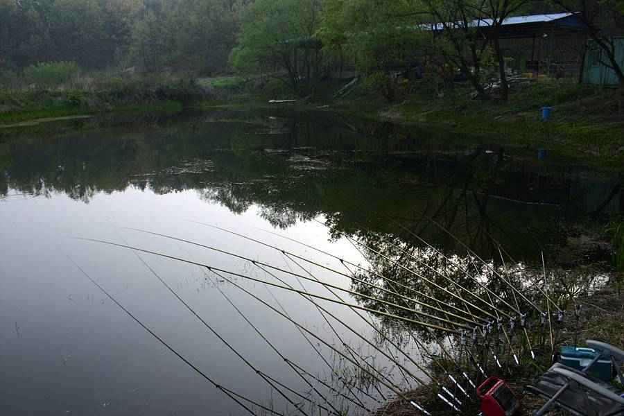 20060430_26.jpg