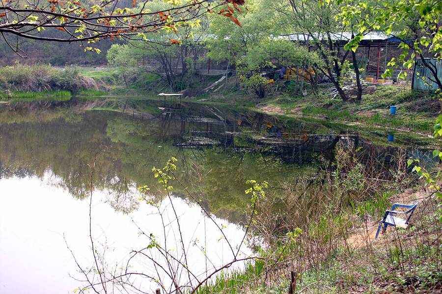 20060430_28.jpg