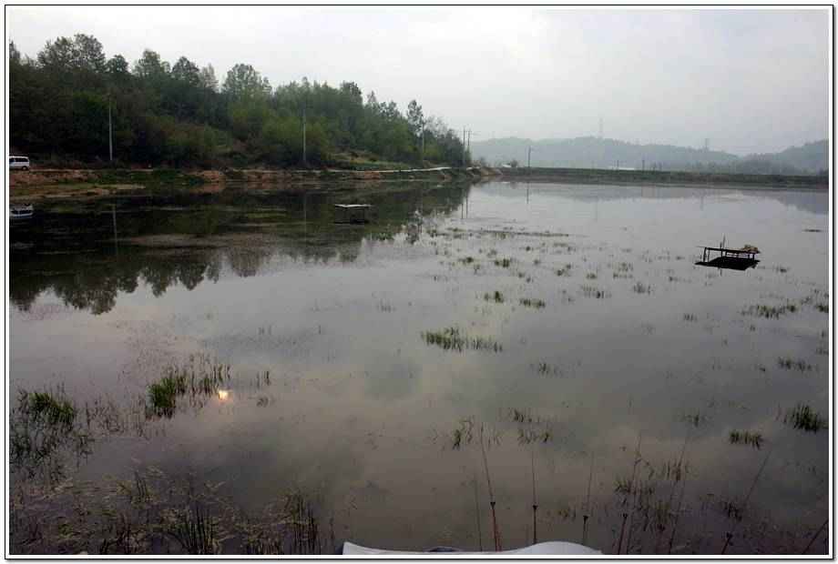 20060506_020.jpg
