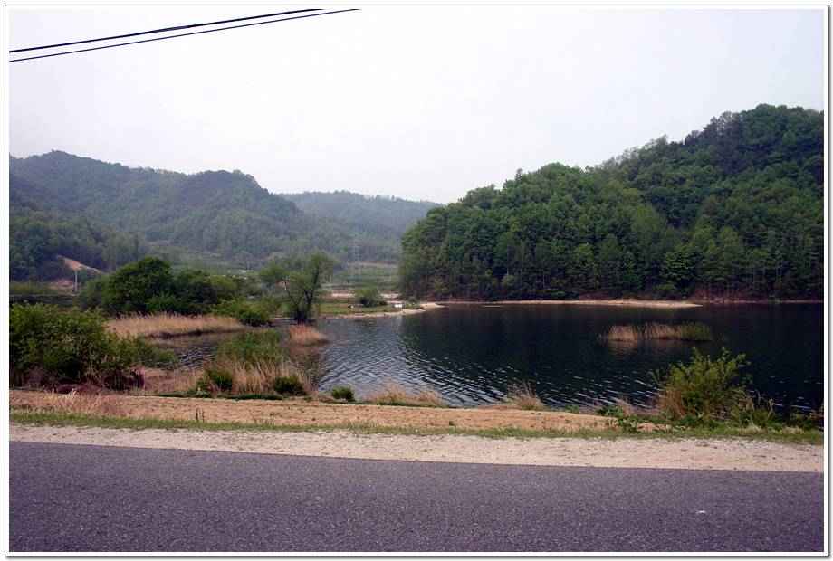 20060506_022.jpg