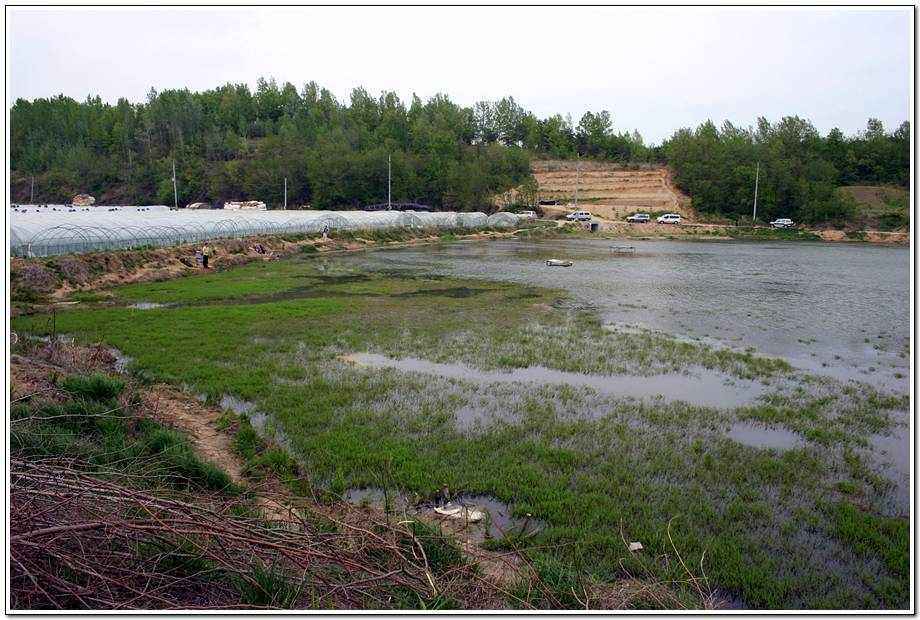 20060506_036.jpg