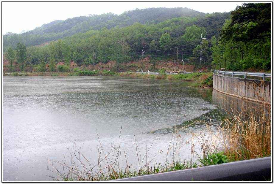 20060506_082.jpg