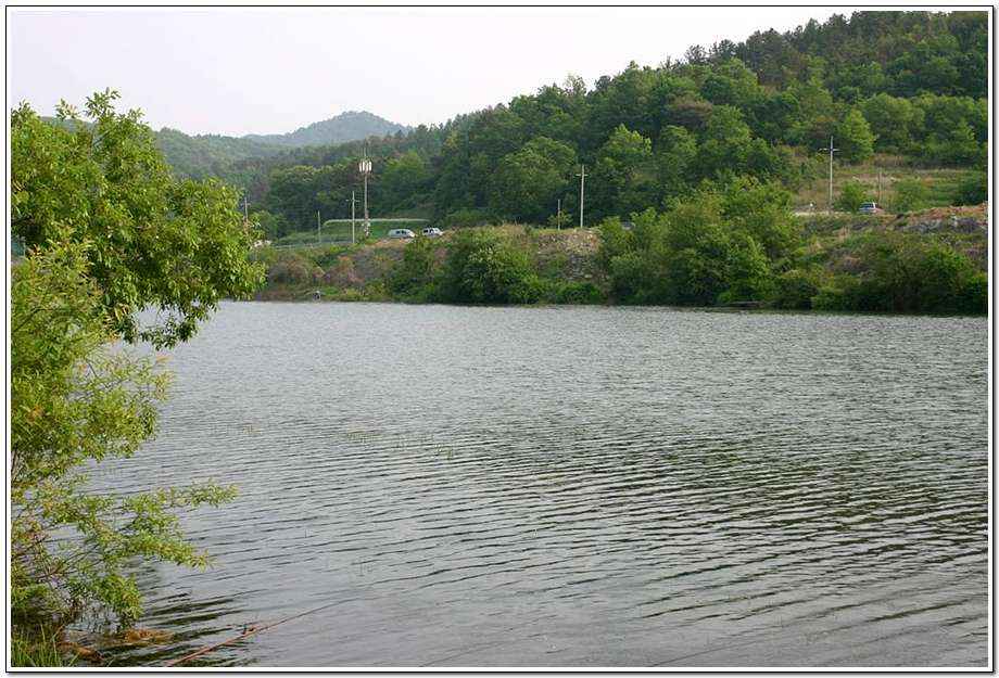20060520_03.jpg