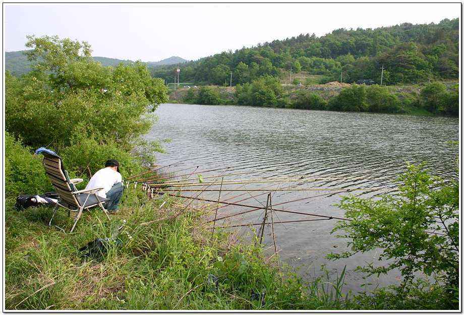 20060520_04.jpg