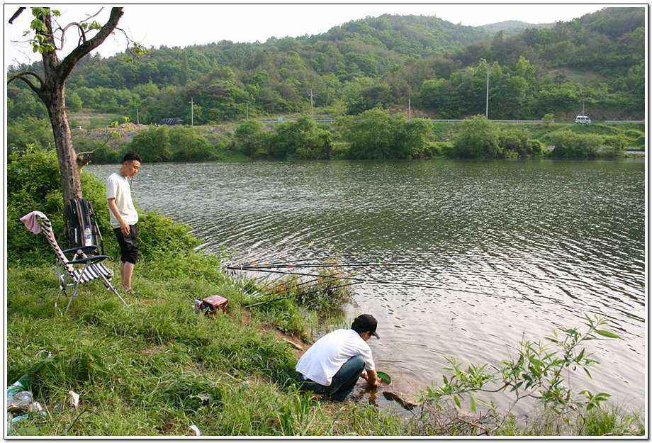 20060520_06.jpg