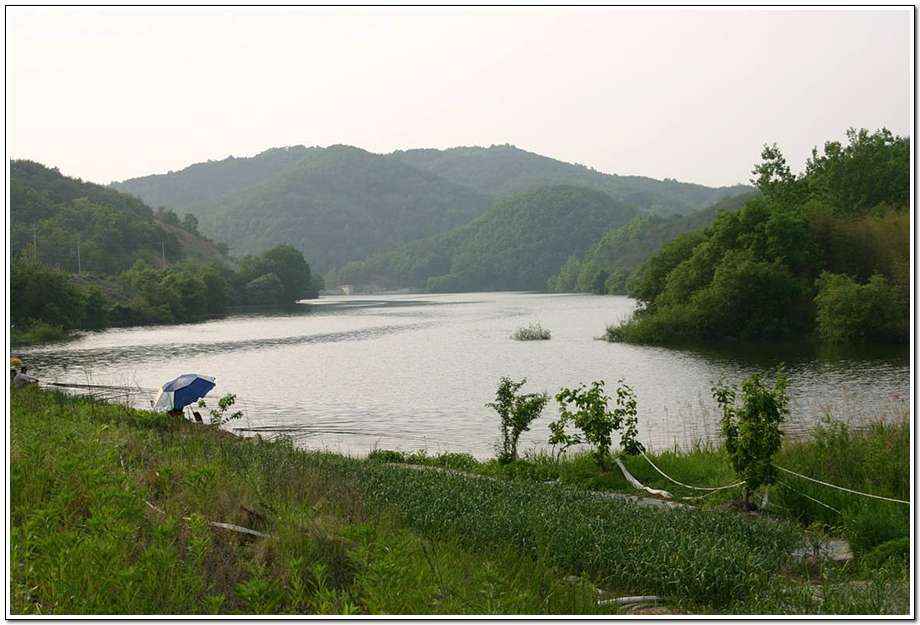 20060520_15.jpg