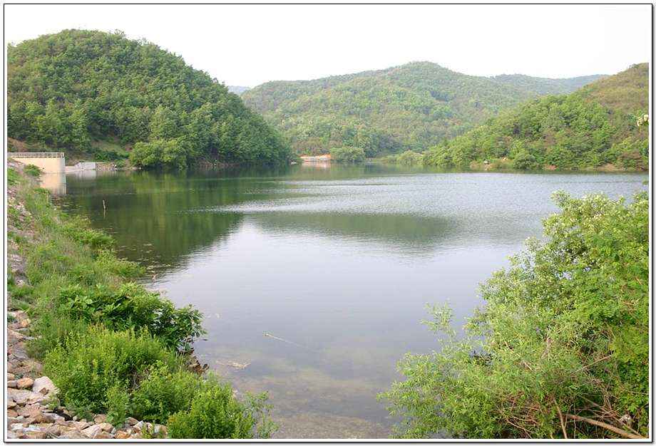20060520_16.jpg