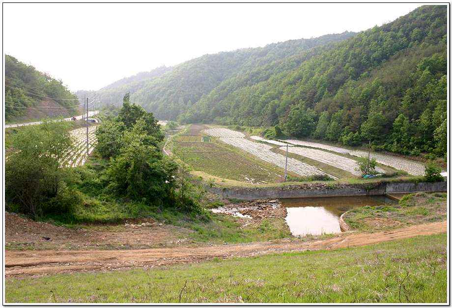20060520_17.jpg
