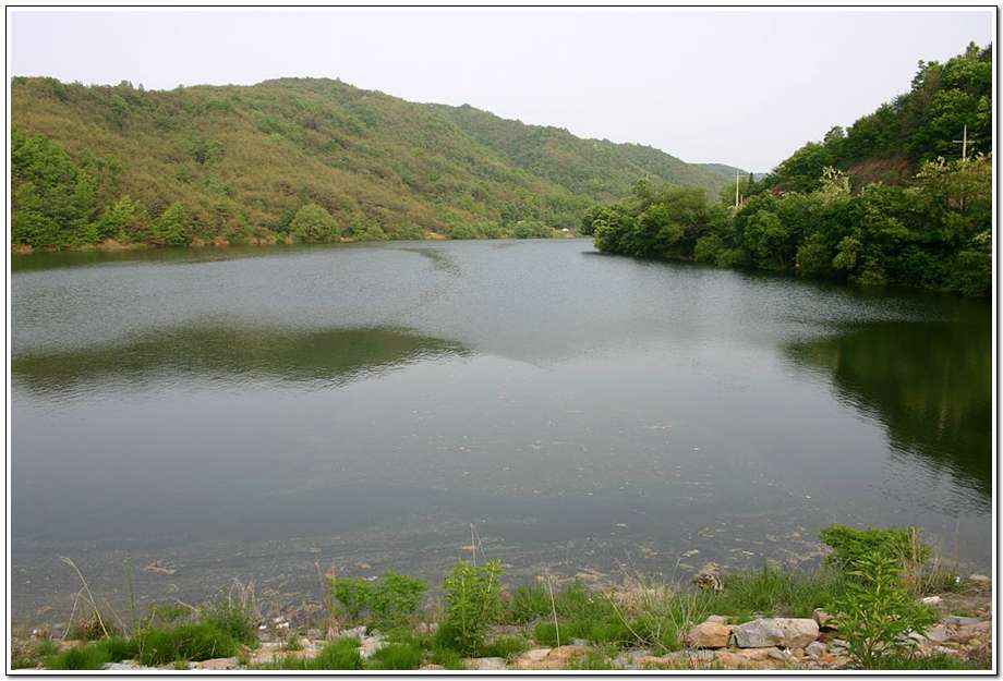 20060520_18.jpg