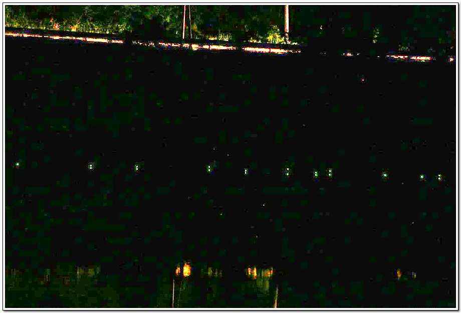 20060520_46.jpg