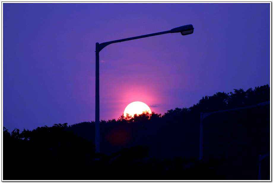 20060617_02.jpg