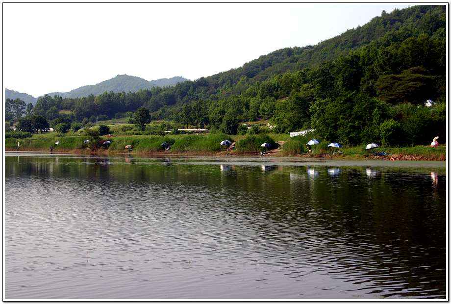 20060617_06.jpg